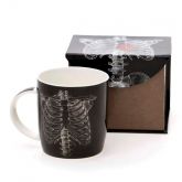 CANECA ANATOMIA