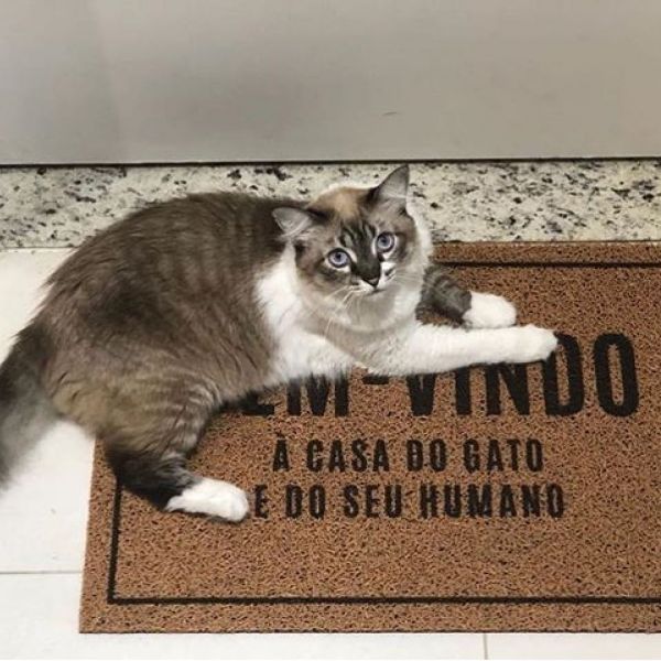 CAPACHO CASA DO GATO E DO HUMANO